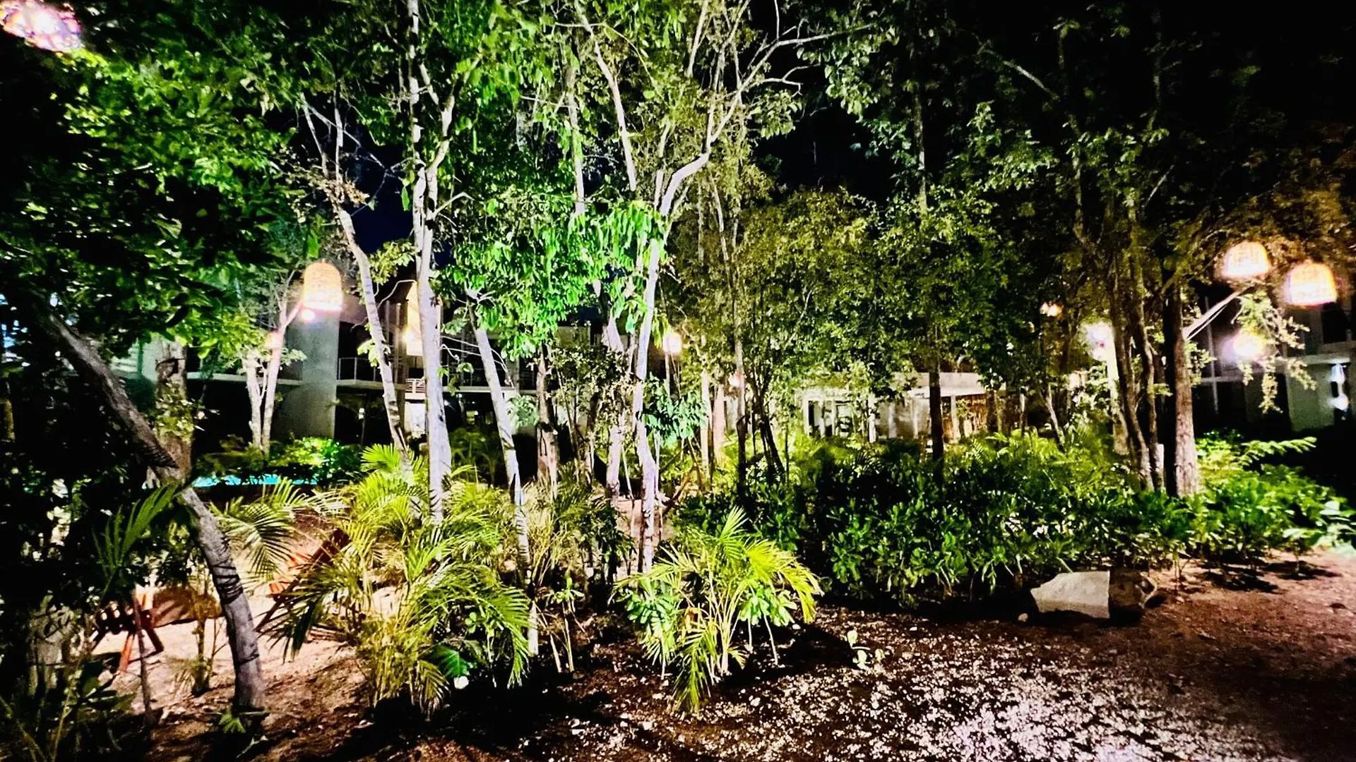 601 Seremonia Selva Private Pool New Apartment King Bed Wifi Tulum 0*,